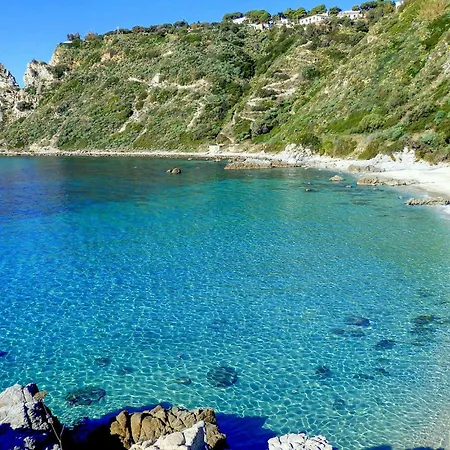 1 Bedroom Cozy In Apartment