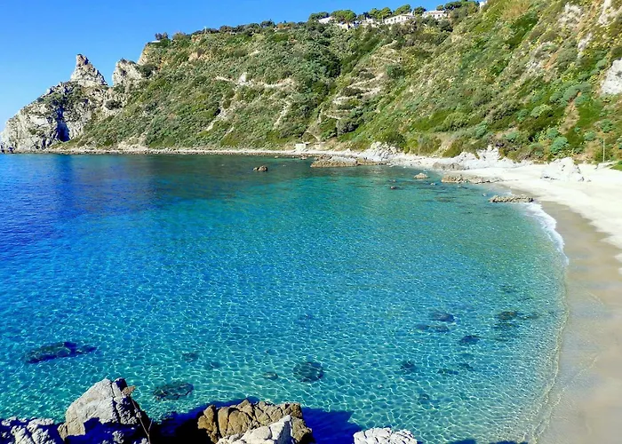 1 Bedroom Cozy In Apartment