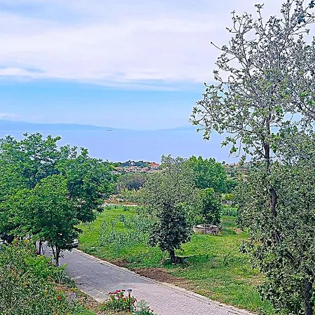 Daire 1 Bedroom Cozy In Ricadi